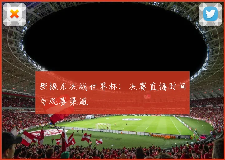 樊振东决战世界杯：决赛直播时间与观赛渠道