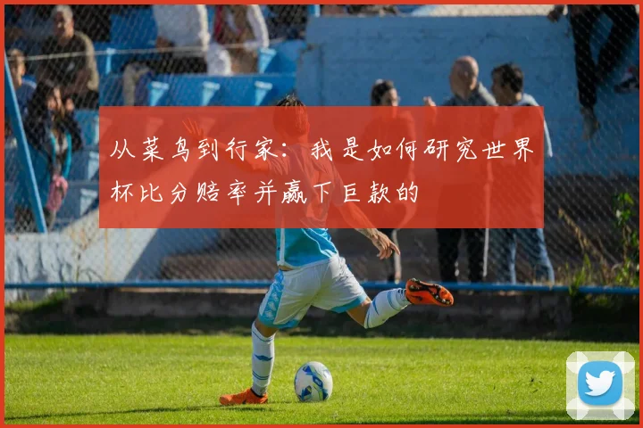 从菜鸟到行家：我是如何研究世界杯比分赔率并赢下巨款的