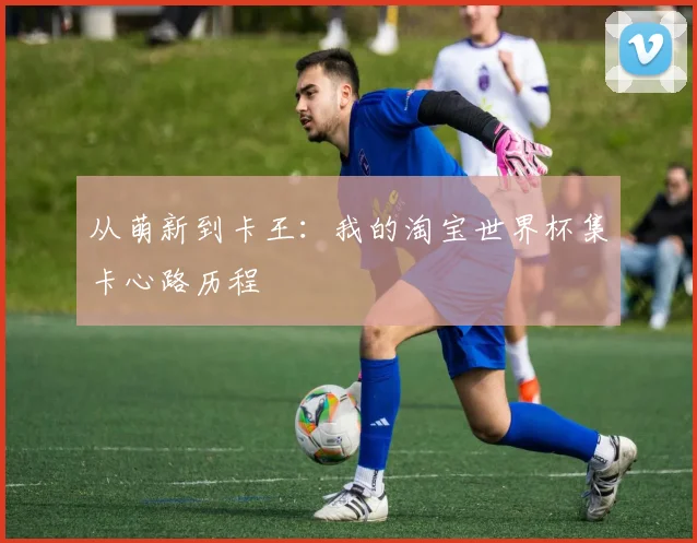 从萌新到卡王：我的淘宝世界杯集卡心路历程