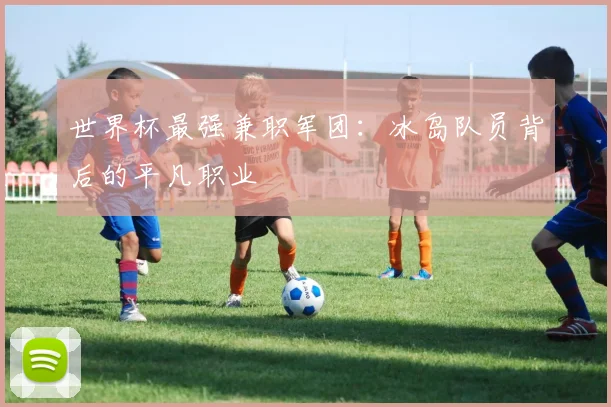 世界杯最强兼职军团：冰岛队员背后的平凡职业