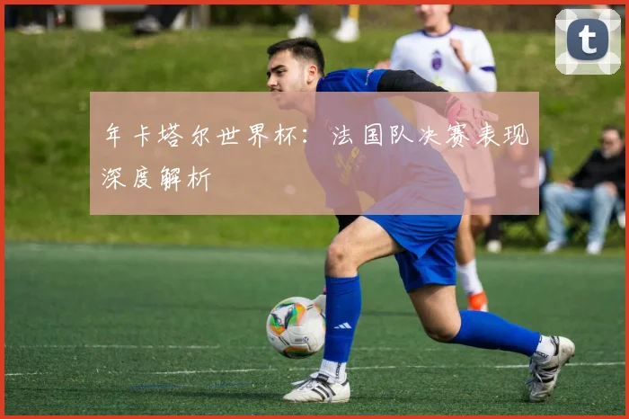 年卡塔尔世界杯:法国队决赛表现深度解析
