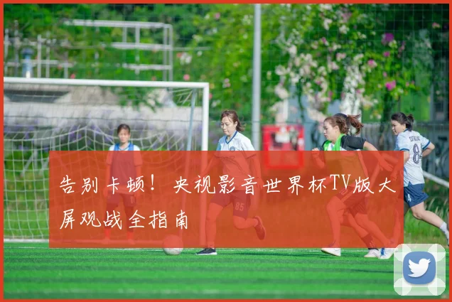 告别卡顿!央视影音世界杯TV版大屏观战全指南
