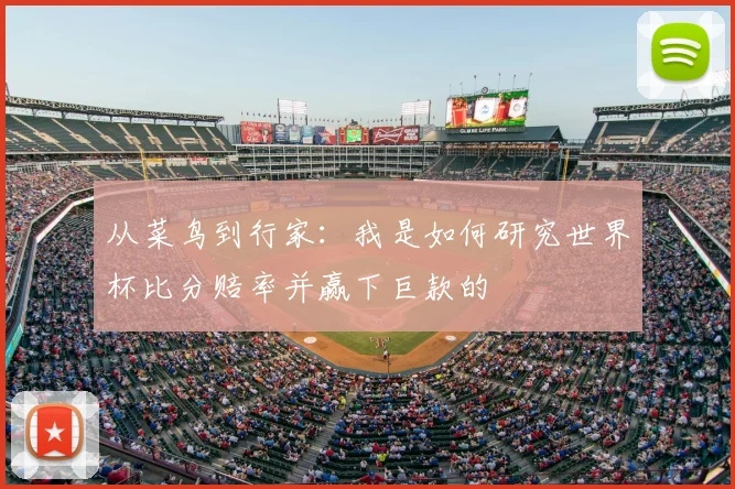 从菜鸟到行家：我是如何研究世界杯比分赔率并赢下巨款的