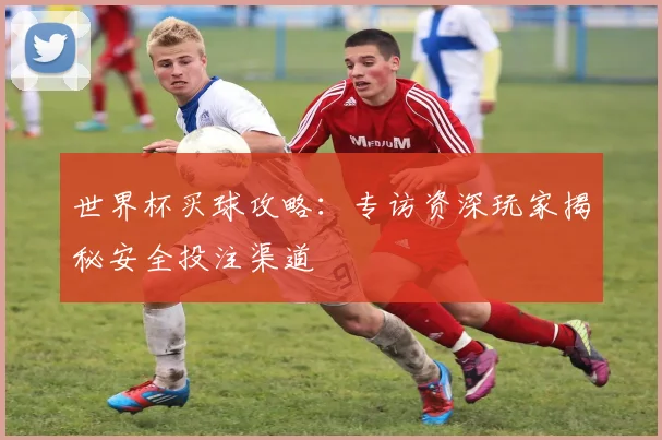 世界杯买球攻略:专访资深玩家揭秘安全投注渠道