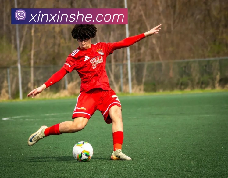 ayx官方登录平台服务体系